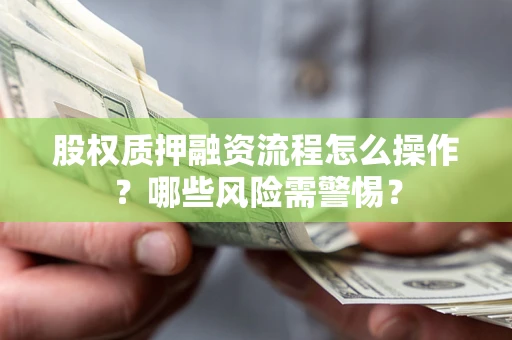 武汉股权质押融资流程怎么操作？哪些风险需警惕？