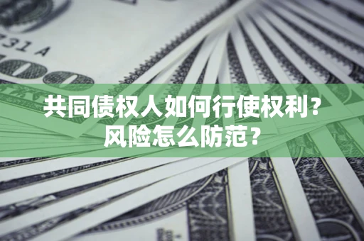 武汉共同债权人如何行使权利？风险怎么防范？