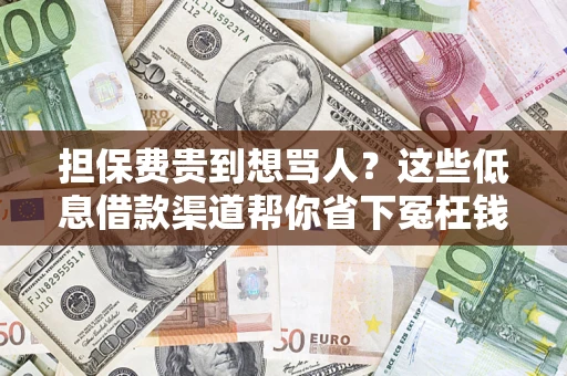 武汉担保费贵到想骂人？这些低息借款渠道帮你省下冤枉钱