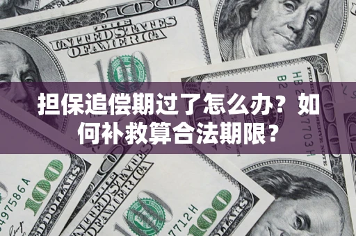 武汉担保追偿期过了怎么办？如何补救算合法期限？