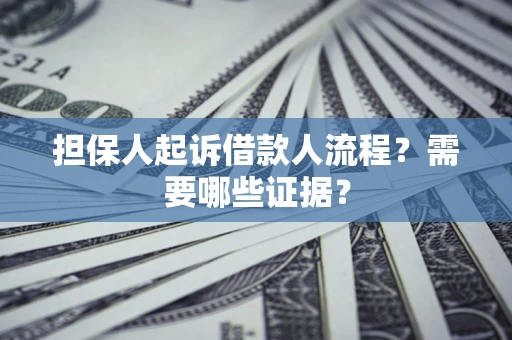 武汉担保人起诉借款人流程？需要哪些证据？