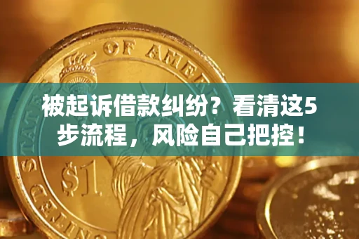 武汉被起诉借款纠纷？看清这5步流程，风险自己把控！