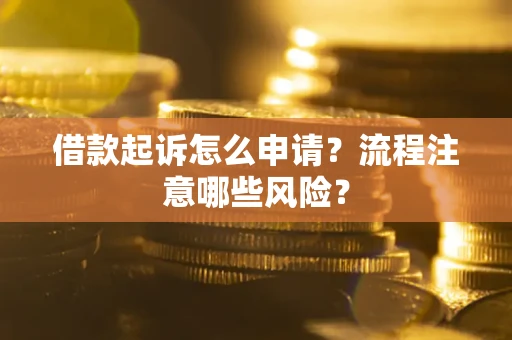 武汉借款起诉怎么申请？流程注意哪些风险？