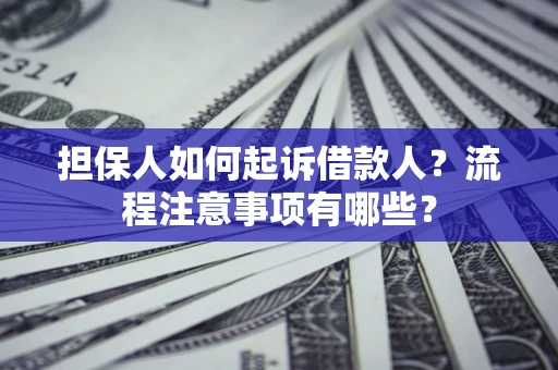 武汉担保人如何起诉借款人？流程注意事项有哪些？